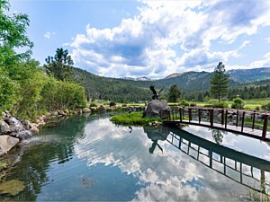 Pond Views 1